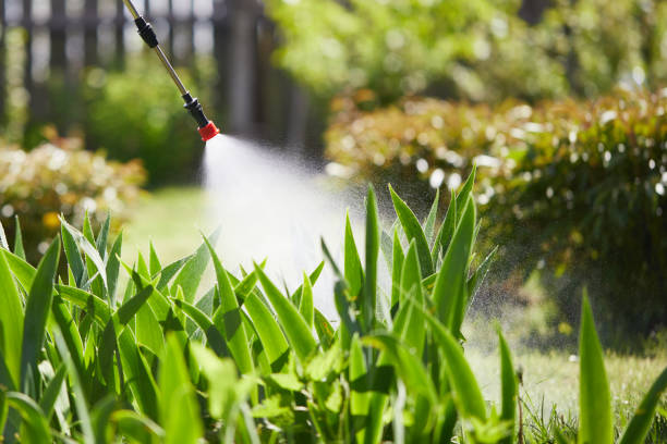 24/7 Emergency Rodent Control experts in Guthrie, KY