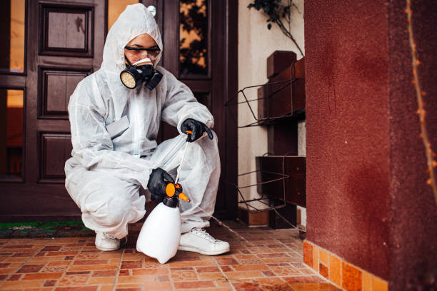 Reliable Rodent Control contractor in Guthrie, KY by Nex Pest Control