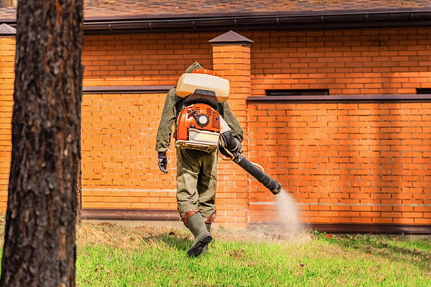 Trusted Mosquito Control service in Guthrie, KY - Nex Pest Control